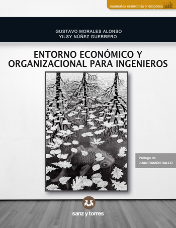 Entorno económico y organizacional para ingenieros